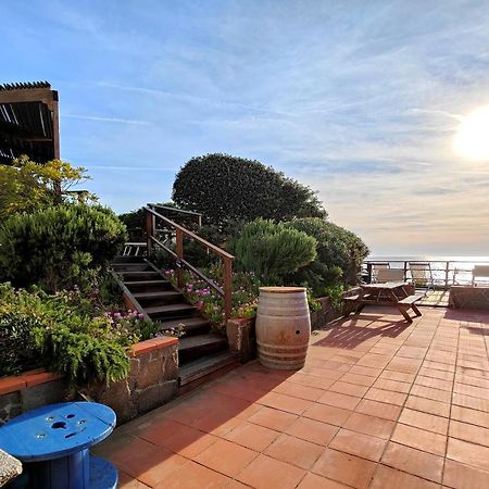 Le Dune Sea View Apartments - Futura Cav San Vincenzo Dış mekan fotoğraf